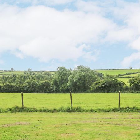 South Boduel Farmhouse Liskeard Buitenkant foto