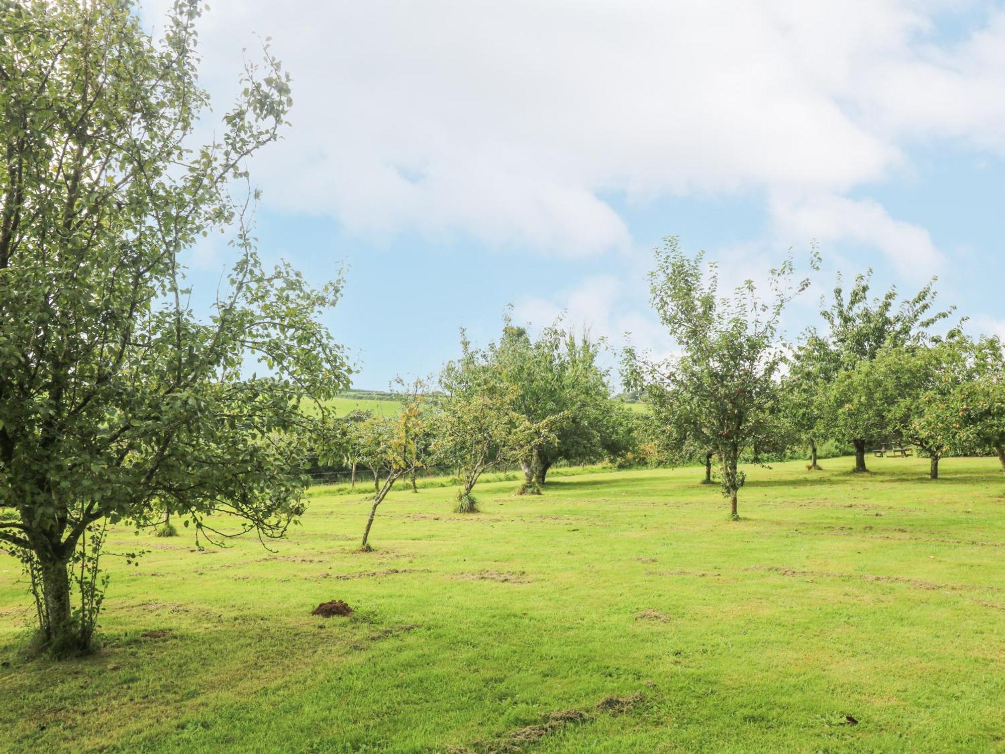 South Boduel Farmhouse Liskeard Buitenkant foto