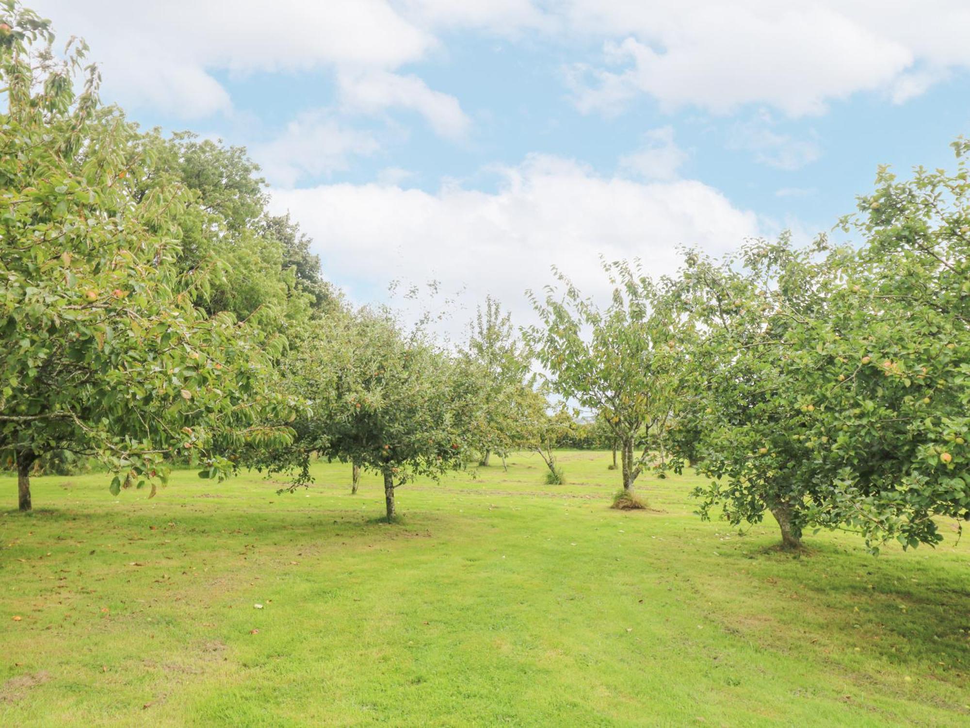 South Boduel Farmhouse Liskeard Buitenkant foto